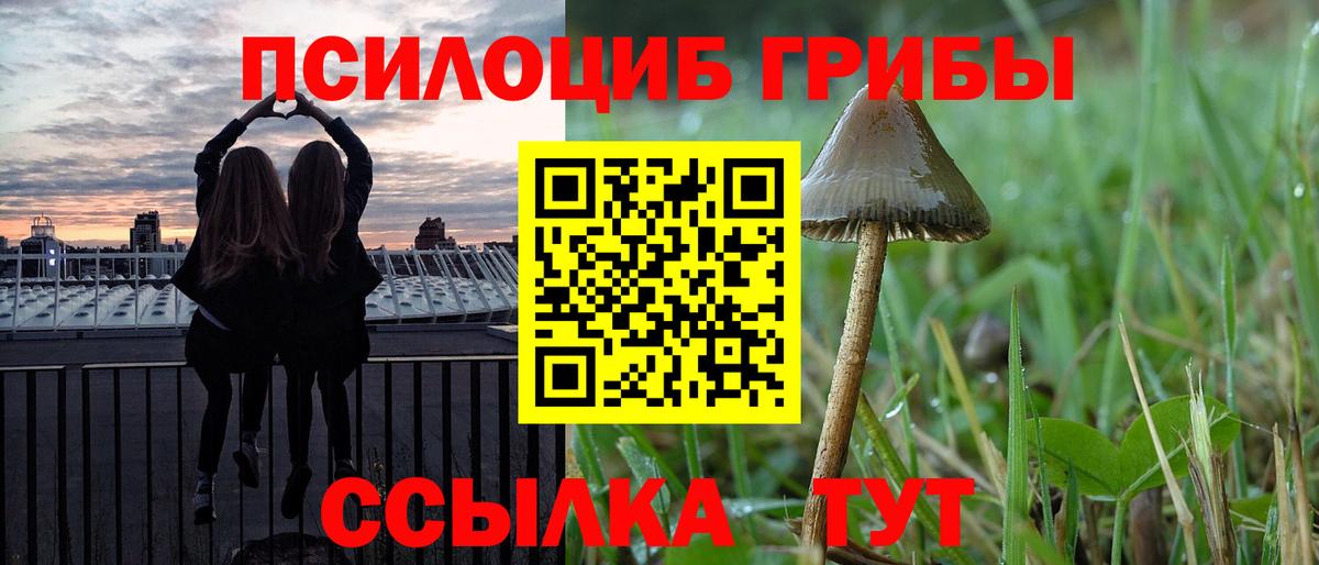 Галлюциногенные грибы MAGIC MUSHROOMS  Вход с VPN  Калач-на-Дону  Псилоцибиновые грибы прущие грибы 